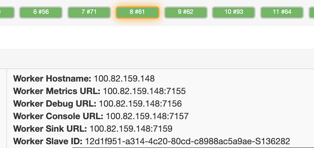 Worker Debug URL
